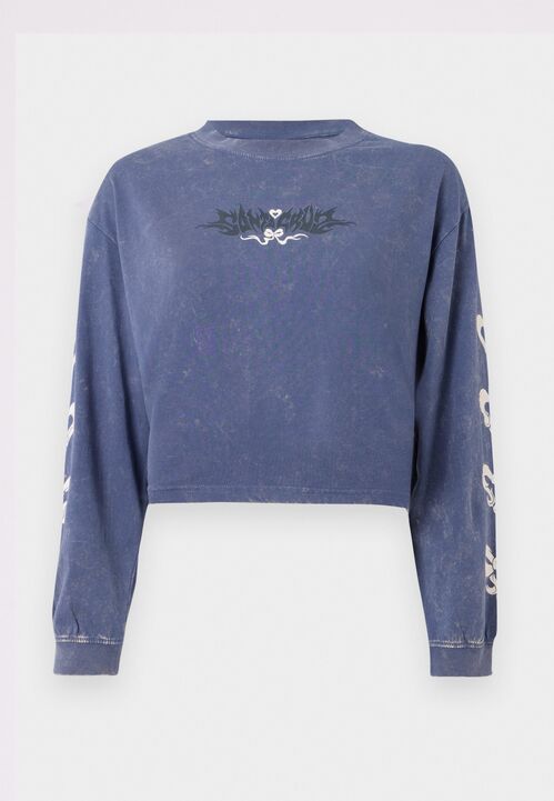 Camiseta Manga Larga Santa Cruz Evolve Strip Heritage Blue S