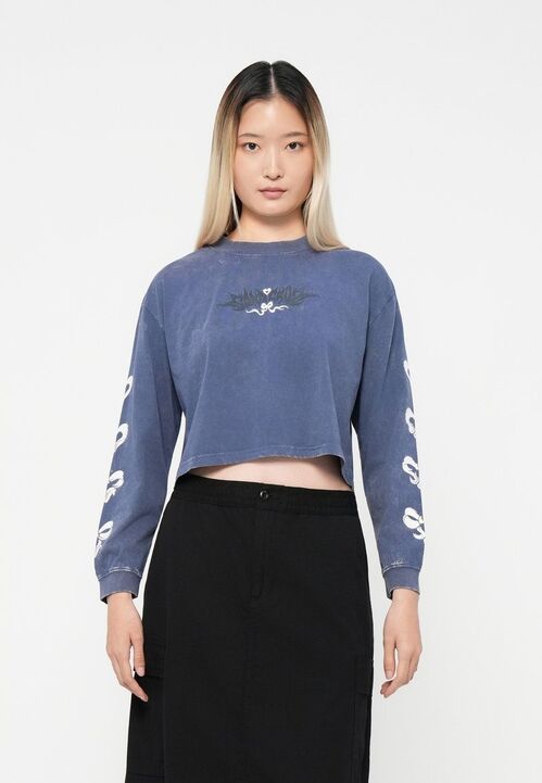 Camiseta Manga Larga Santa Cruz Evolve Strip Heritage Blue S