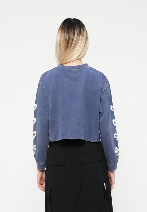 Camiseta Manga Larga Santa Cruz Evolve Strip Heritage Blue S