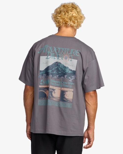 Camiseta Billabong Grow OG A/Div Grey Violet