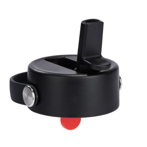 Botella térmica Hydro Flask Standard Flex Straw Cap 32 oz (946ml) Botanical Bliss Agave Beach Plum Purple